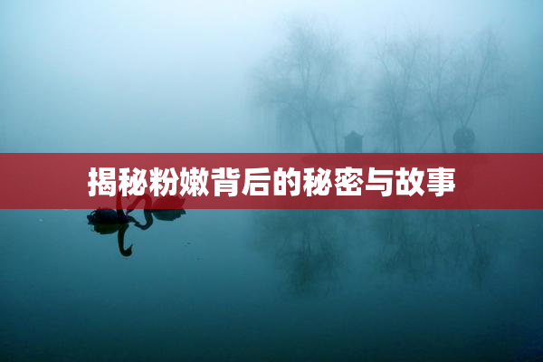 揭秘粉嫩背后的秘密与故事