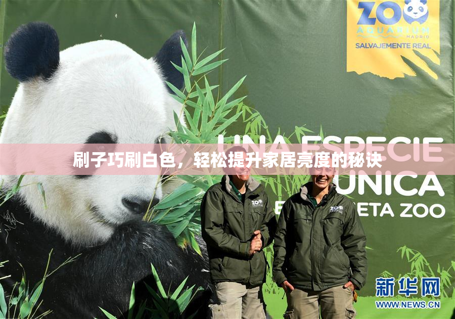 刷子巧刷白色，轻松提升家居亮度的秘诀