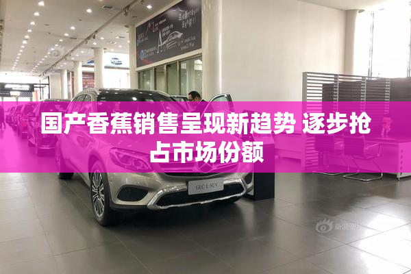 国产香蕉销售呈现新趋势 逐步抢占市场份额