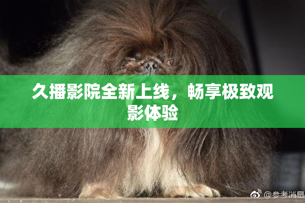 久播影院全新上线，畅享极致观影体验