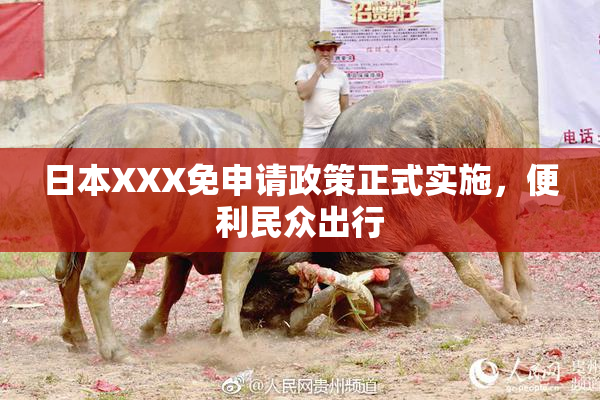 日本XXX免申请政策正式实施，便利民众出行