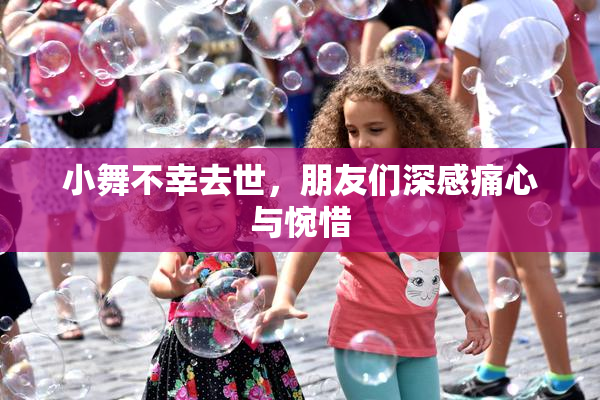 小舞不幸去世，朋友们深感痛心与惋惜