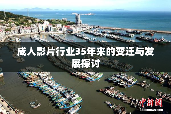成人影片行业35年来的变迁与发展探讨