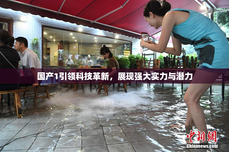 国产1引领科技革新，展现强大实力与潜力