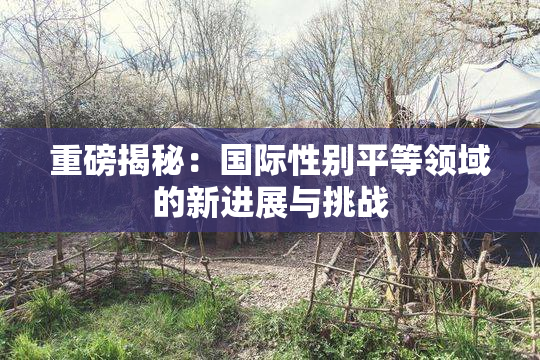 重磅揭秘：国际性别平等领域的新进展与挑战