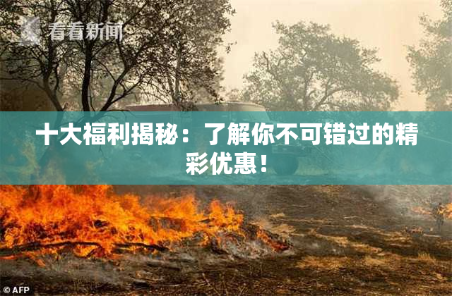 十大福利揭秘：了解你不可错过的精彩优惠！