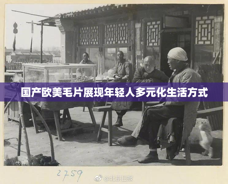 国产欧美毛片展现年轻人多元化生活方式