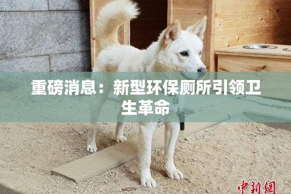 重磅消息：新型环保厕所引领卫生革命