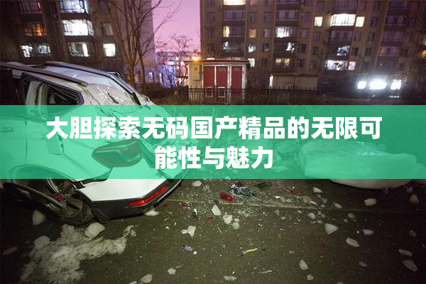 大胆探索无码国产精品的无限可能性与魅力