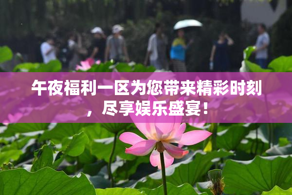 午夜福利一区为您带来精彩时刻，尽享娱乐盛宴！