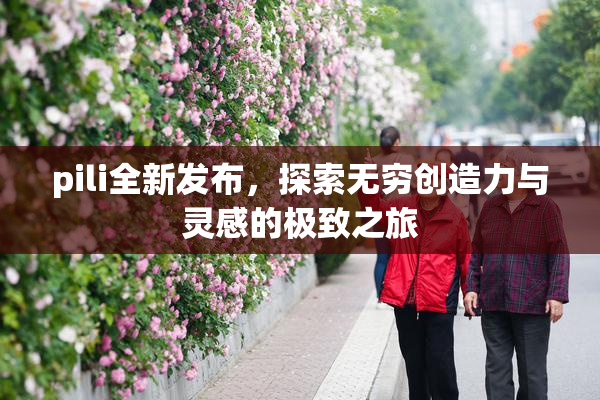 pili全新发布，探索无穷创造力与灵感的极致之旅