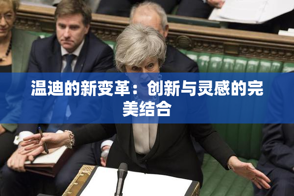 温迪的新变革：创新与灵感的完美结合