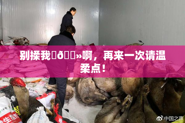 别揉我‌🐻啊，再来一次请温柔点！