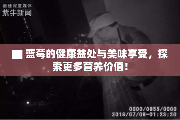 ▇ 蓝莓的健康益处与美味享受，探索更多营养价值！