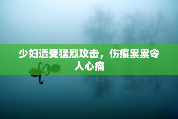 少妇遭受猛烈攻击，伤痕累累令人心痛