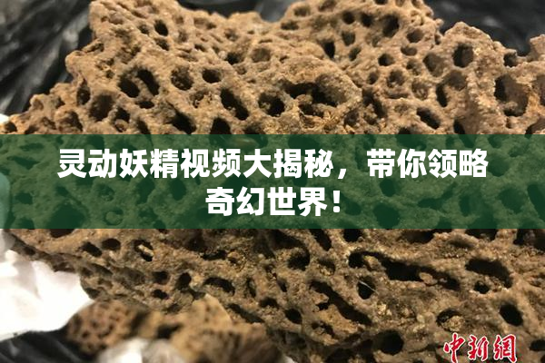 灵动妖精视频大揭秘，带你领略奇幻世界！