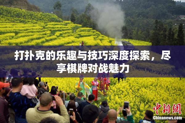 打扑克的乐趣与技巧深度探索，尽享棋牌对战魅力