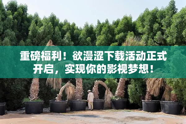 重磅福利！欲漫涩下载活动正式开启，实现你的影视梦想！