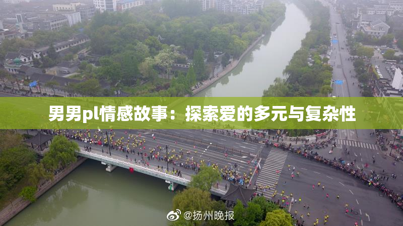 男男pl情感故事：探索爱的多元与复杂性