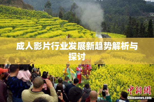 成人影片行业发展新趋势解析与探讨