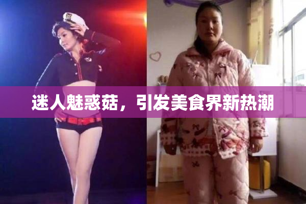迷人魅惑菇，引发美食界新热潮