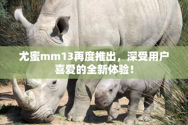 尤蜜mm13再度推出，深受用户喜爱的全新体验！
