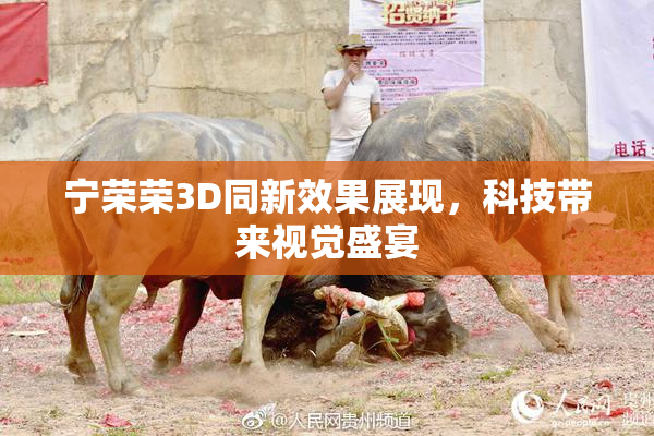 宁荣荣3D同新效果展现，科技带来视觉盛宴