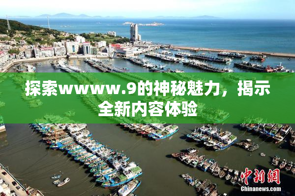 探索wwww.9的神秘魅力，揭示全新内容体验