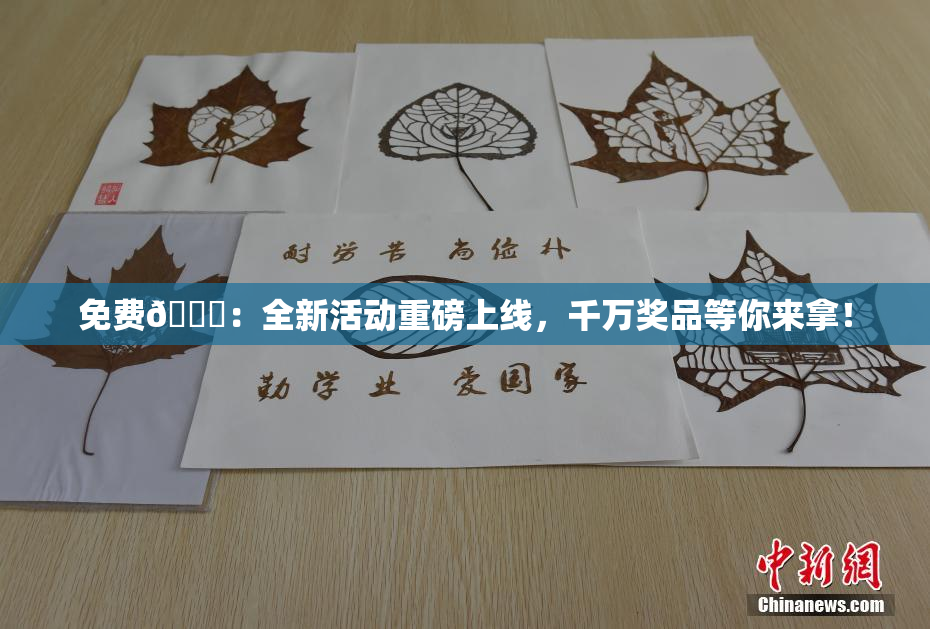 免费🔞：全新活动重磅上线，千万奖品等你来拿！