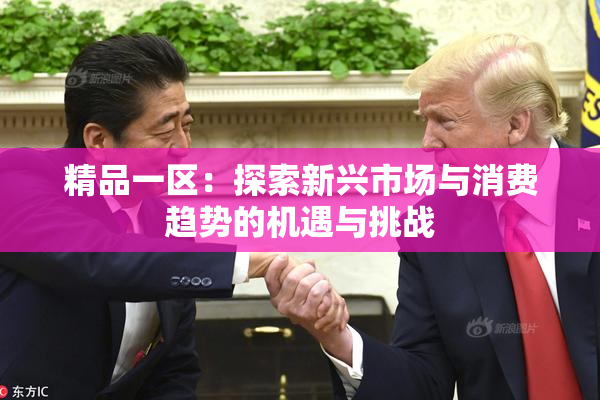 精品一区：探索新兴市场与消费趋势的机遇与挑战