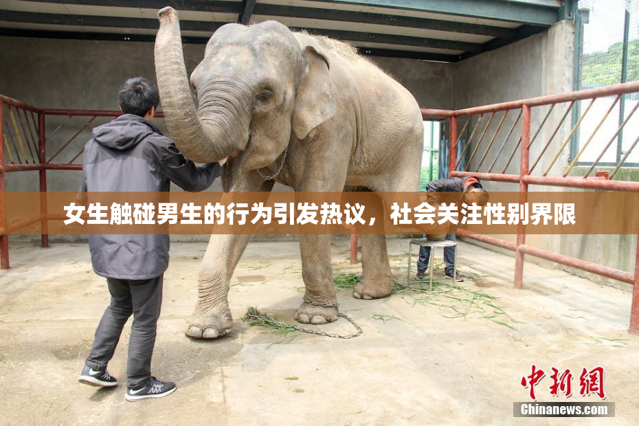 女生触碰男生的行为引发热议，社会关注性别界限