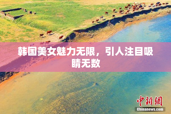 韩国美女魅力无限，引人注目吸睛无数