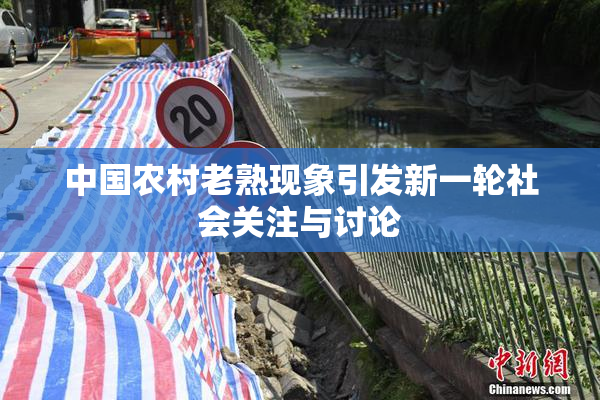 中国农村老熟现象引发新一轮社会关注与讨论