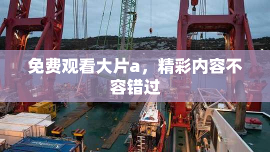 免费观看大片a，精彩内容不容错过