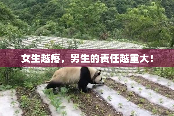 女生越疼，男生的责任越重大！