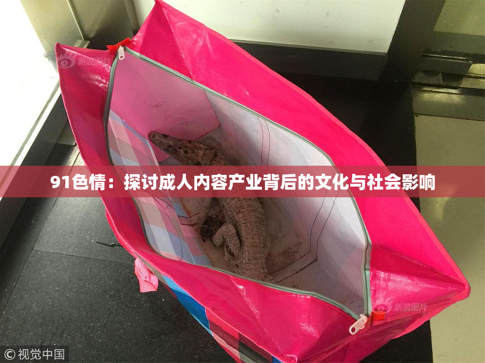91色情：探讨成人内容产业背后的文化与社会影响