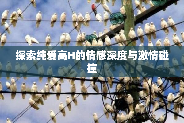 探索纯爱高H的情感深度与激情碰撞