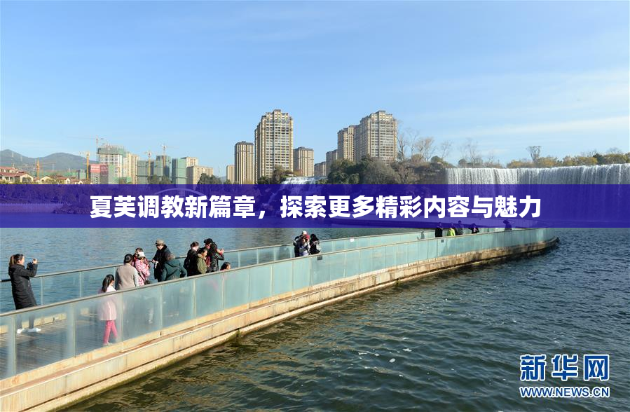 夏芙调教新篇章，探索更多精彩内容与魅力