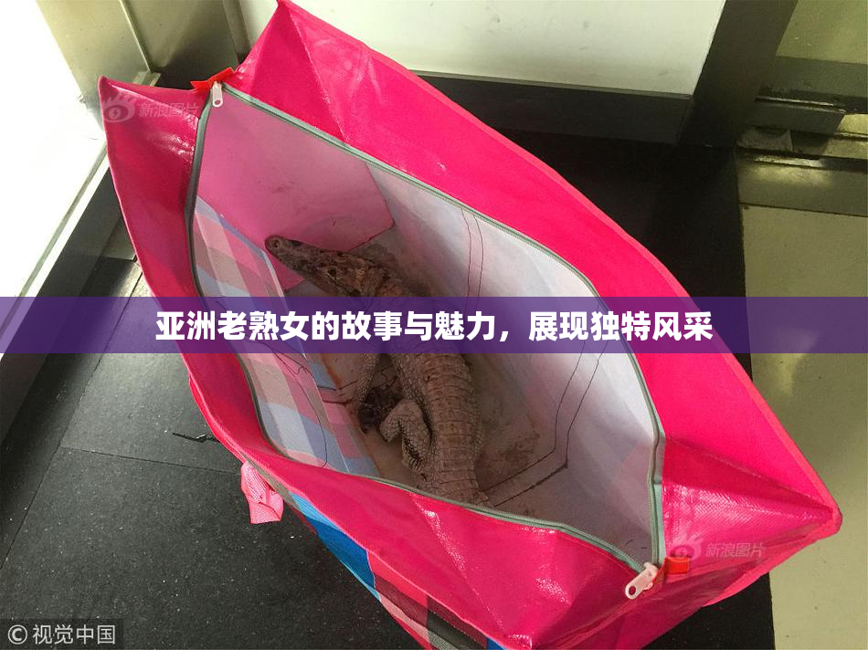 亚洲老熟女的故事与魅力，展现独特风采