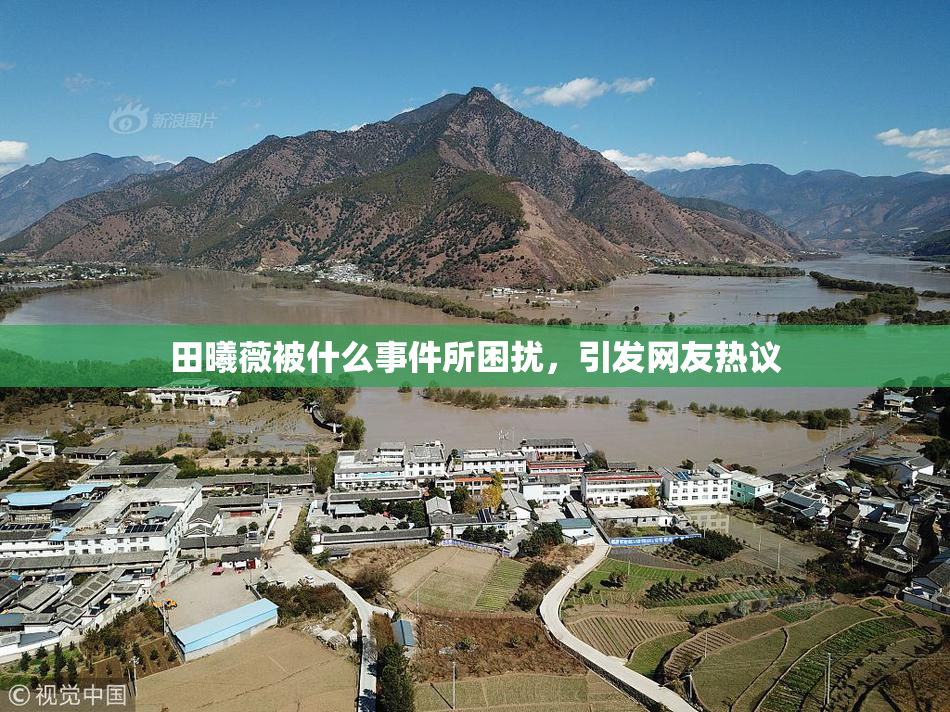 田曦薇被什么事件所困扰，引发网友热议