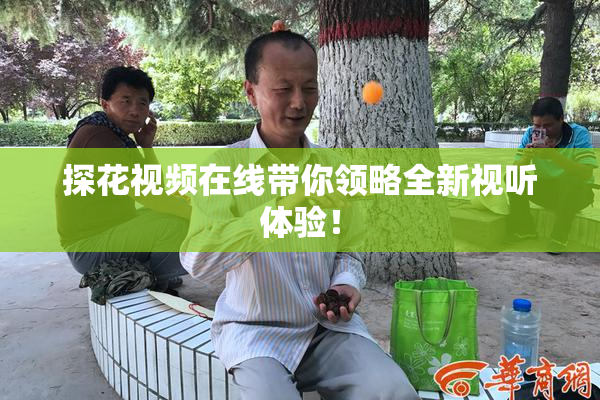 探花视频在线带你领略全新视听体验！
