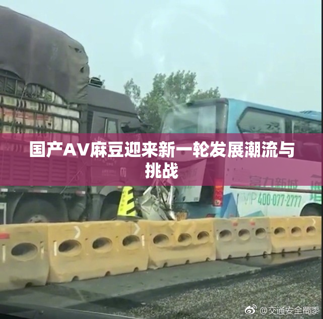 国产AV麻豆迎来新一轮发展潮流与挑战