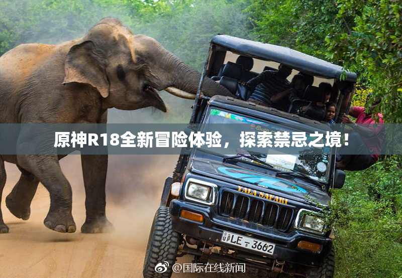 原神R18全新冒险体验，探索禁忌之境！