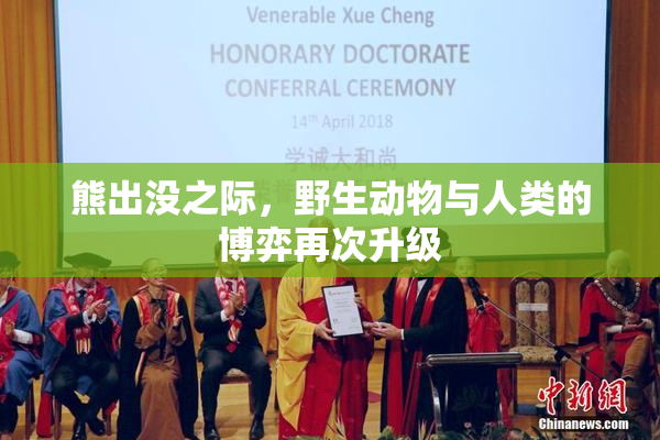熊出没之际，野生动物与人类的博弈再次升级