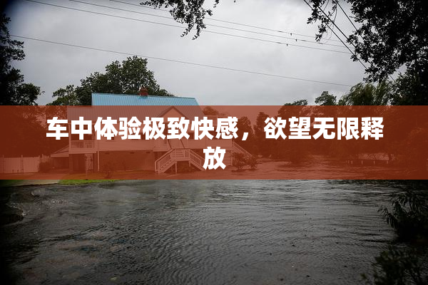 车中体验极致快感，欲望无限释放