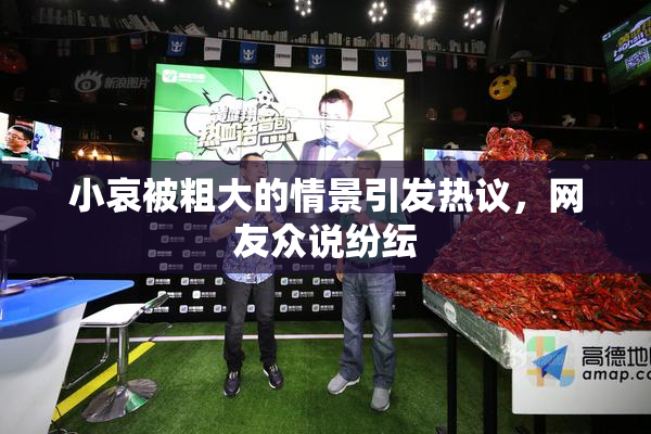 小哀被粗大的情景引发热议，网友众说纷纭