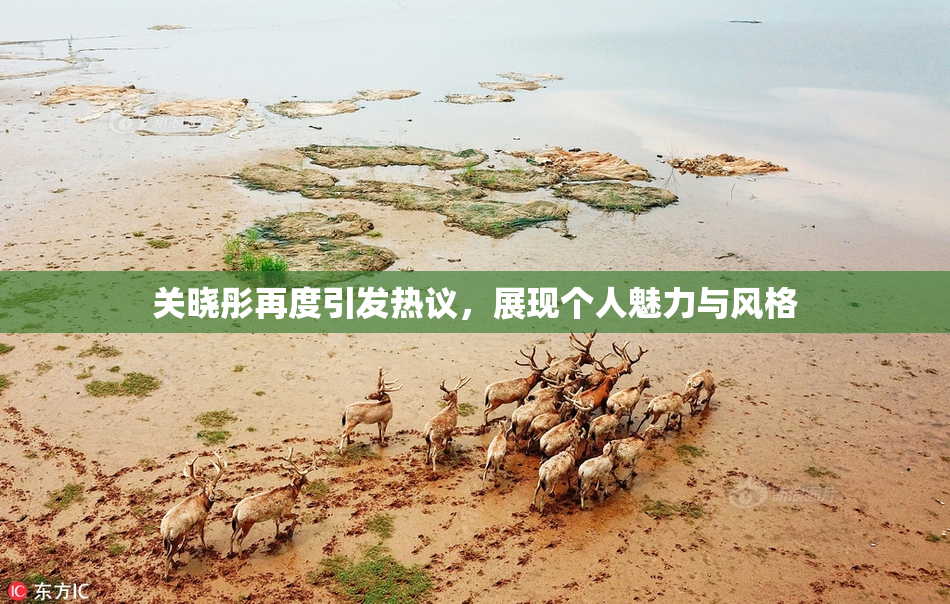 关晓彤再度引发热议，展现个人魅力与风格