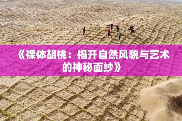 《裸体胡桃：揭开自然风貌与艺术的神秘面纱》