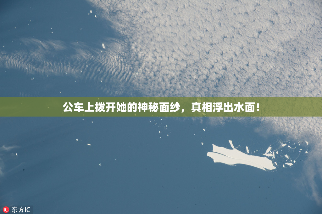 公车上拨开她的神秘面纱，真相浮出水面！