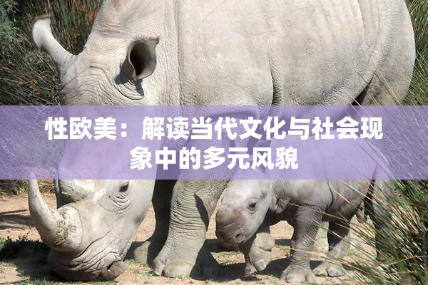 性欧美：解读当代文化与社会现象中的多元风貌